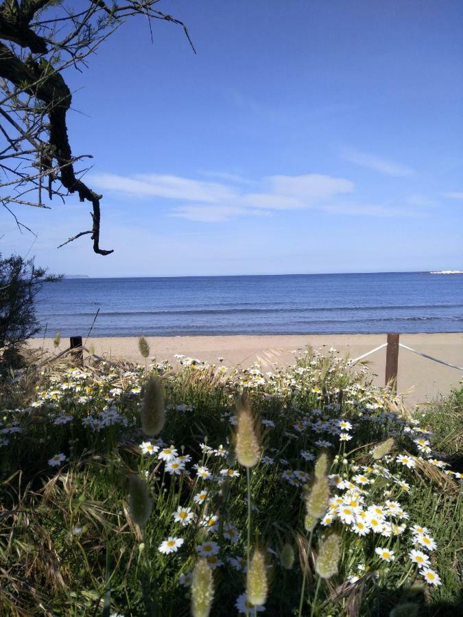 Apartamentos Stil Mar Anna - L'Escala Stil Mar Екстериор снимка